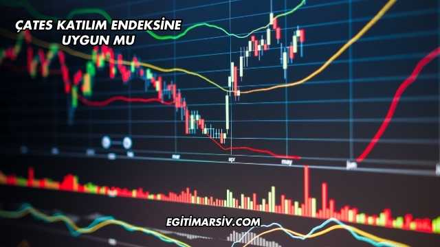 ÇATES Katılım Endeksine Uygun mu?