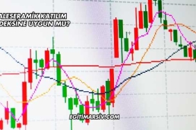 Kaleseramik Katılım Endeksine Uygun mu?