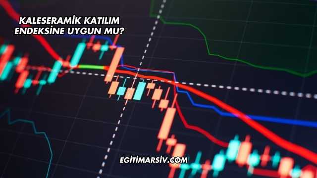 Kaleseramik Katılım Endeksine Uygun mu?