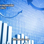 Mgmt Katılım Endeksine Uygun mu?