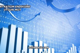 Mgmt Katılım Endeksine Uygun mu?