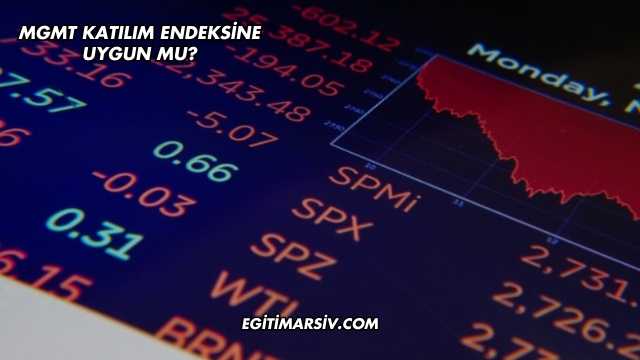 Mgmt Katılım Endeksine Uygun mu?