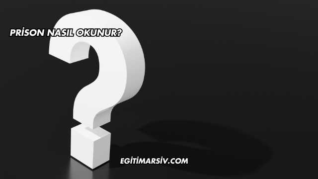 Prison Nasıl Okunur?