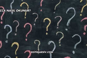 Pucca Nasıl Okunur?