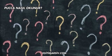 Pucca Nasıl Okunur?