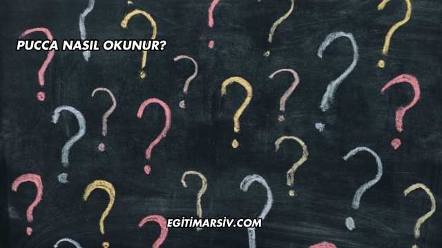Pucca Nasıl Okunur?