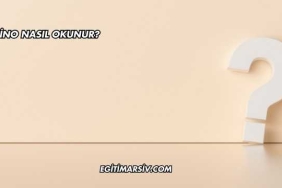 Rhino Nasıl Okunur?