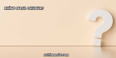 Rhino Nasıl Okunur?