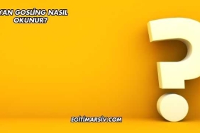 Ryan Gosling Nasıl Okunur?