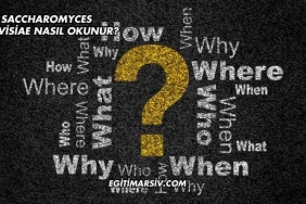 Saccharomyces Cerevisiae Nasıl Okunur?