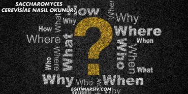 Saccharomyces Cerevisiae Nasıl Okunur?