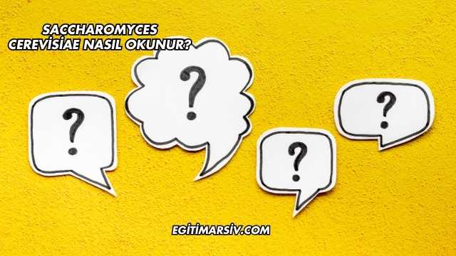 Saccharomyces Cerevisiae Nasıl Okunur?