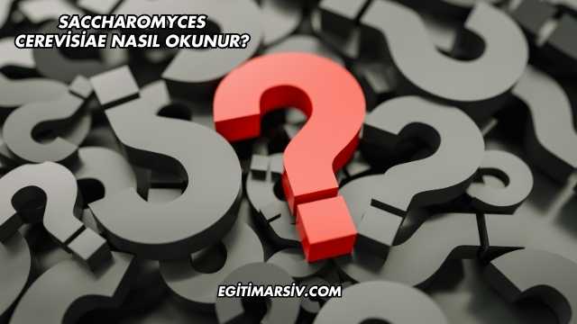 Saccharomyces Cerevisiae Nasıl Okunur?