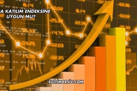 Sasa Katılım Endeksine Uygun mu?