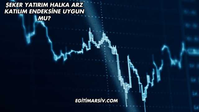 Şeker Yatırım Halka Arz Katılım Endeksine Uygun mu?