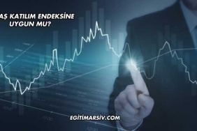 Tukaş Katılım Endeksine Uygun mu?