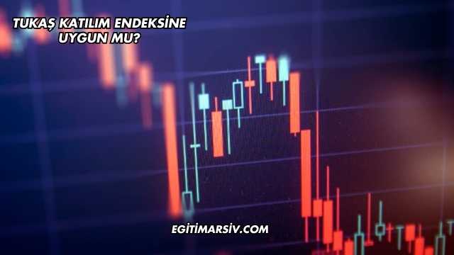 Tukaş Katılım Endeksine Uygun mu?