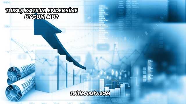 Tukaş Katılım Endeksine Uygun mu?
