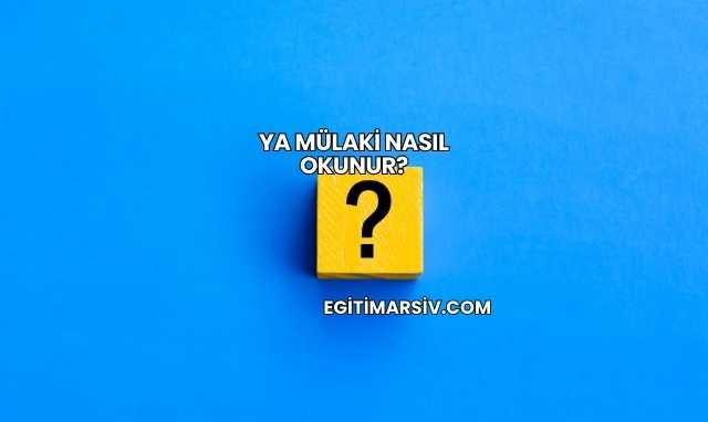 Ya Mülaki Nasıl Okunur?