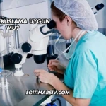 Tüp Bebek İslama Uygun mu?