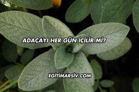 Adaçayı Her Gün İçilir mi?