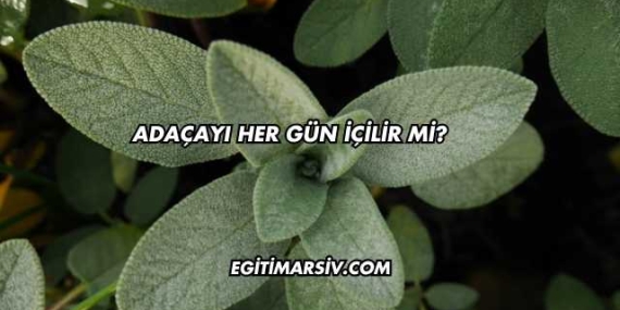 Adaçayı Her Gün İçilir mi?
