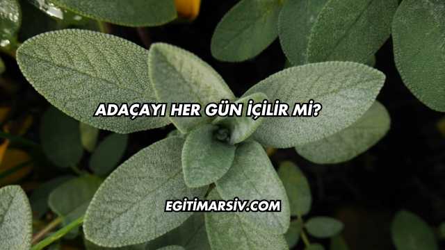 Adaçayı Her Gün İçilir mi?