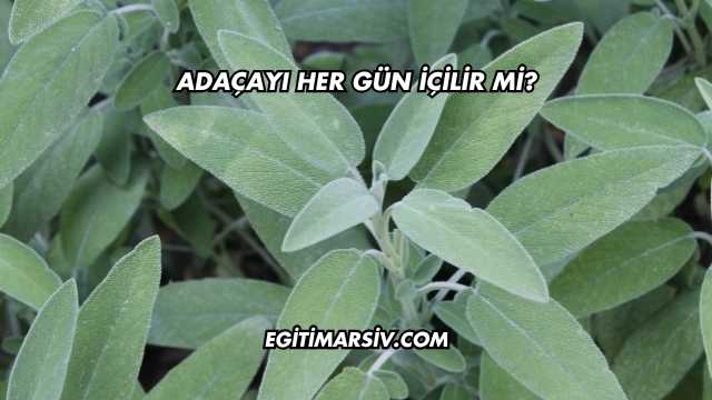 Adaçayı Her Gün İçilir mi?