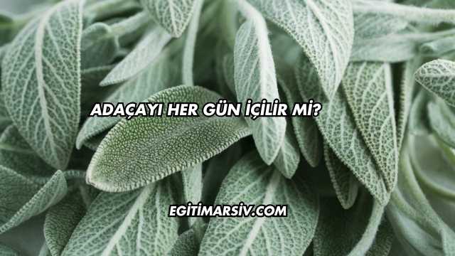Adaçayı Her Gün İçilir mi?