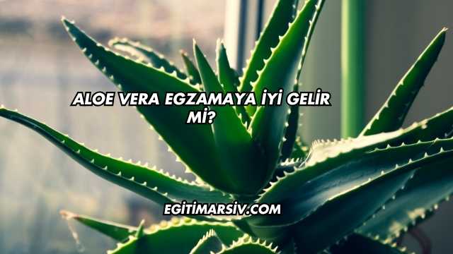 Aloe Vera Egzamaya İyi Gelir mi?