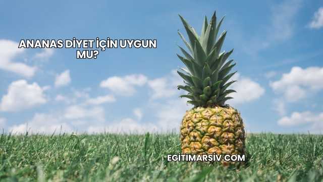 Ananas Diyet İçin Uygun mu?