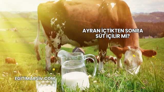 Ayran İçtikten Sonra Süt İçilir mi?