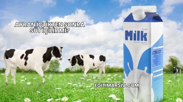 Ayran İçtikten Sonra Süt İçilir mi?