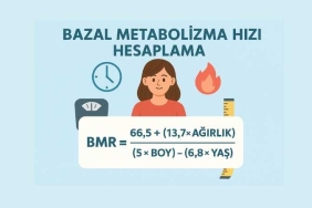 Bazal Metabolizma Hızı Hesaplama