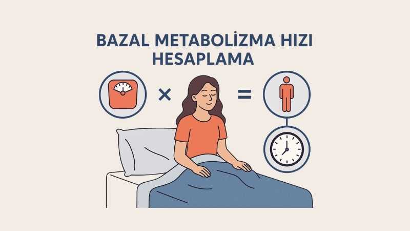 Bazal Metabolizma Hızı Hesaplama