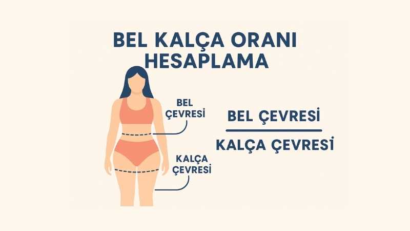 Bel Kalça Oranı Hesaplama