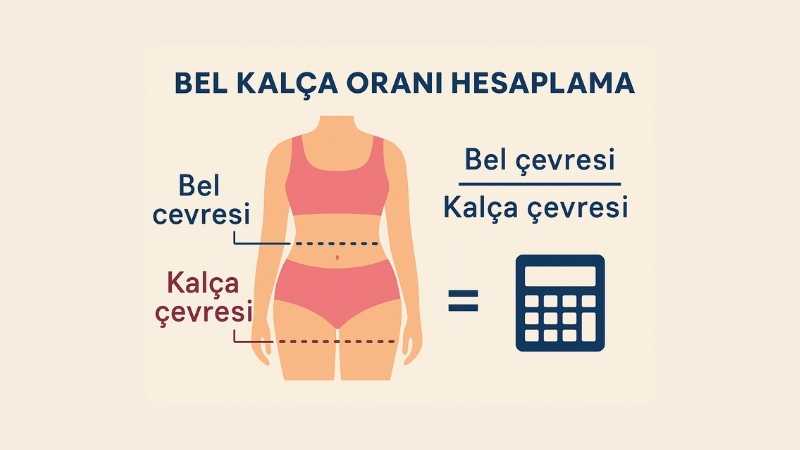 Bel Kalça Oranı Hesaplama