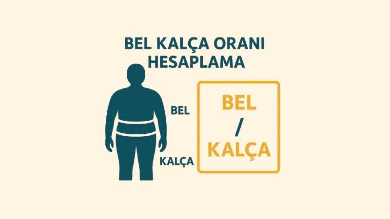 Bel Kalça Oranı Hesaplama