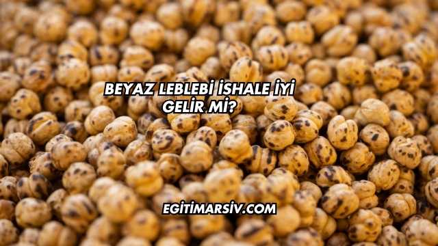 Beyaz Leblebi İshale İyi Gelir mi?