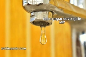 Bolu Çeşme Suyu İçilir mi?