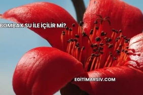 Bombax Su İle İçilir mi?