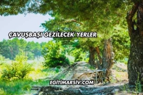Çavuşbaşı Gezilecek Yerler