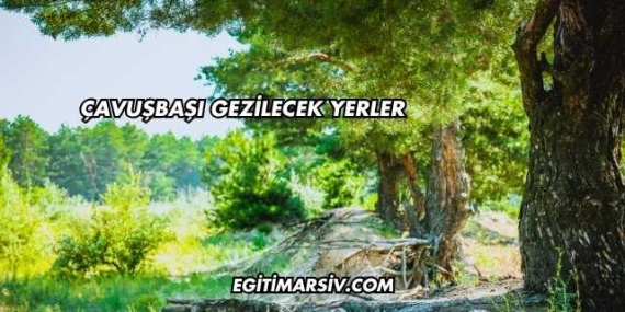 Çavuşbaşı Gezilecek Yerler