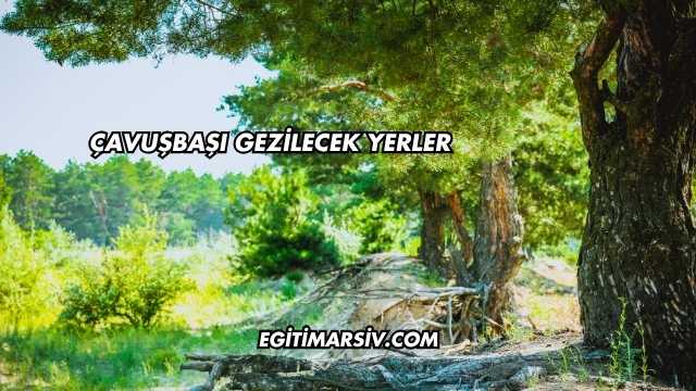 Çavuşbaşı Gezilecek Yerler