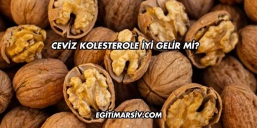 Ceviz Kolesterole İyi Gelir mi?