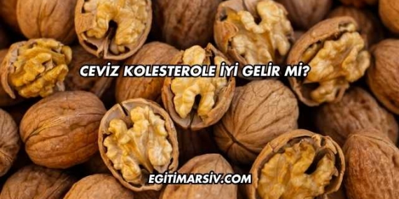 Ceviz Kolesterole İyi Gelir mi?