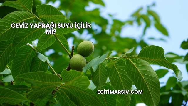 Ceviz Yaprağı Suyu İçilir mi?