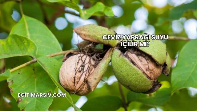 Ceviz Yaprağı Suyu İçilir mi?