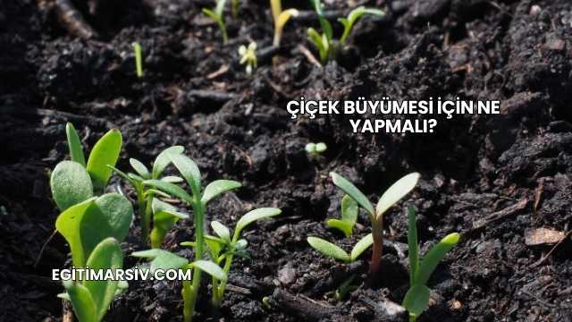 Çiçek Büyümesi İçin Ne Yapmalı?