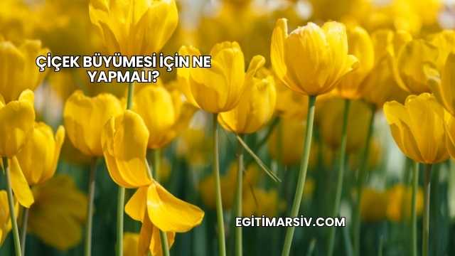 Çiçek Büyümesi İçin Ne Yapmalı?